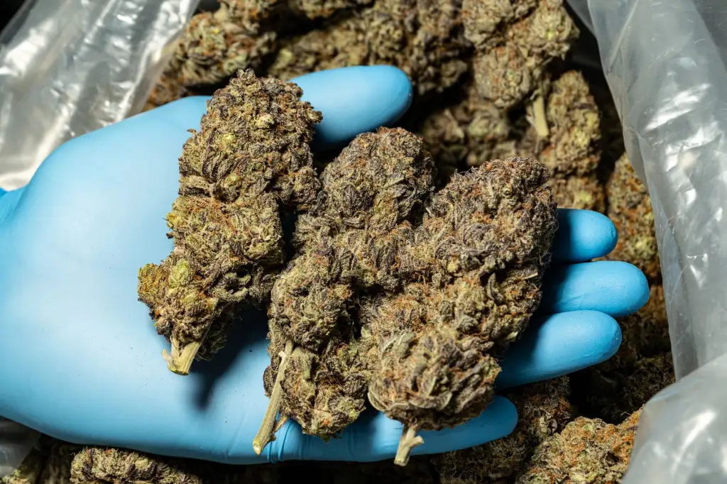 园区一卡通消费系统与身份识别平台建设指南